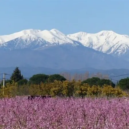 多塔法庄园酒店 *