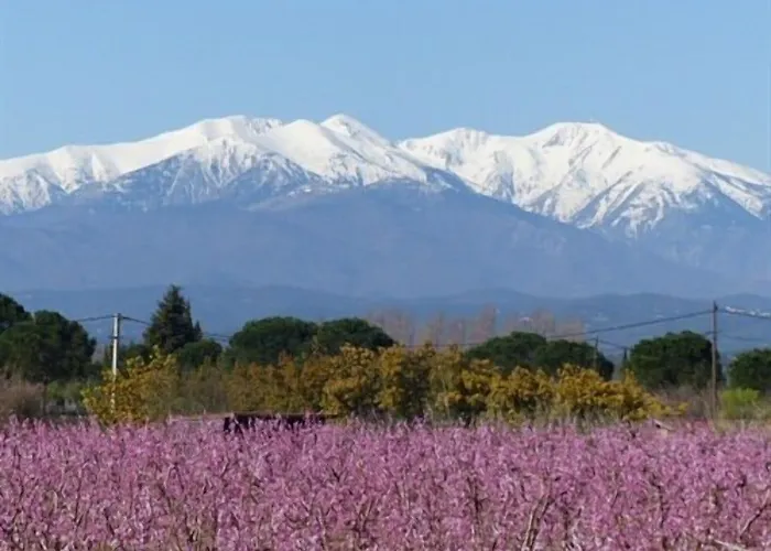 多塔法庄园酒店 *